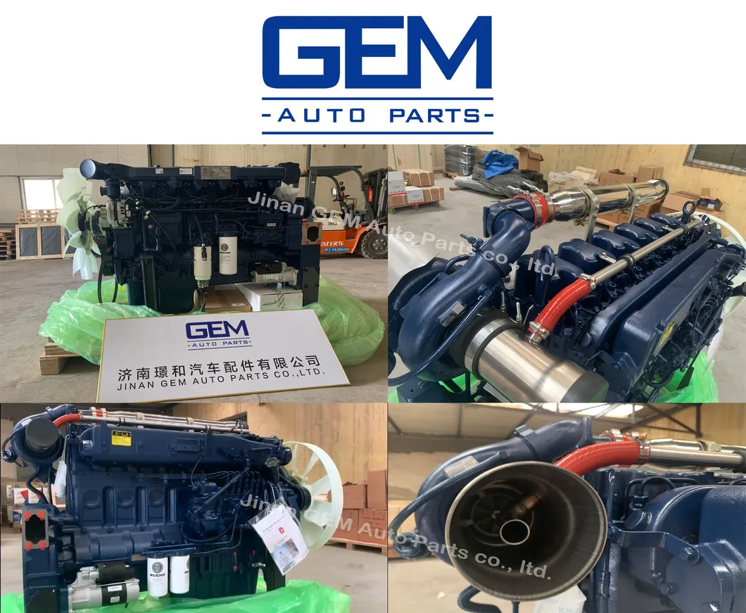 1000053555 Фильтр тонкой очистки топлива для Lgmg Tonly Shacman Liugong Longking Shantui Construction Machine Запасные части 