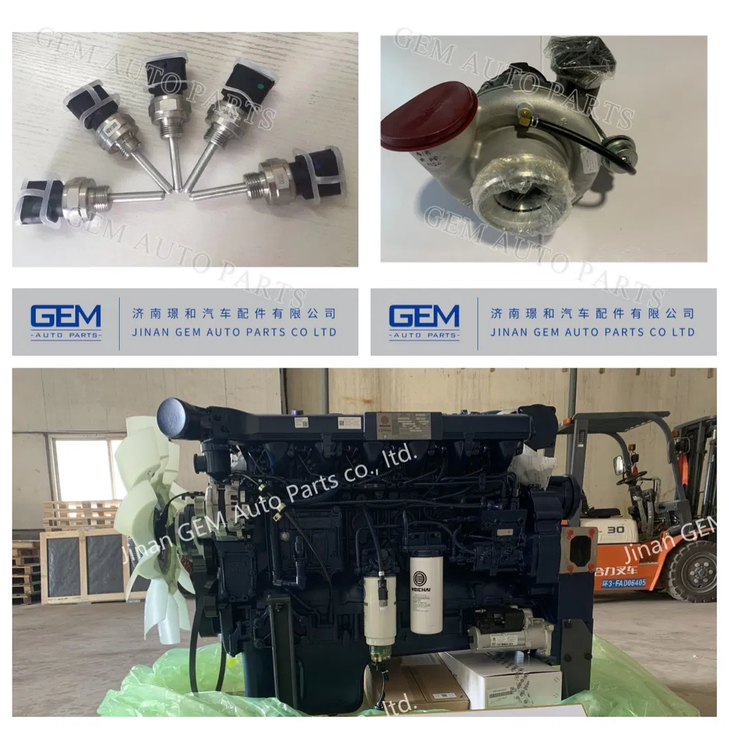 для запасных частей для тяжелых самосвалов Weichai Lgmg Sany Tonly Fast Truck Запасные части для горнодобывающего оборудования Двигатель Weichai 
