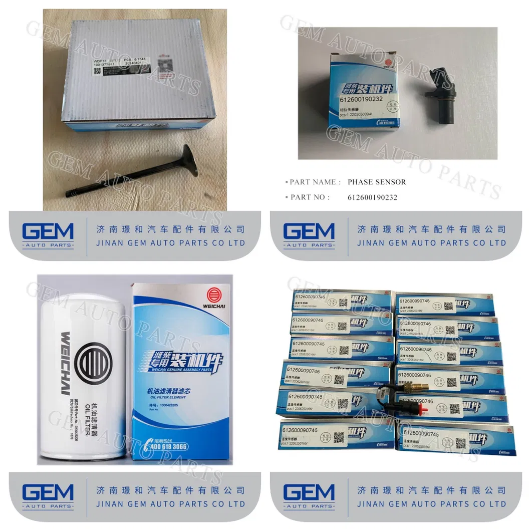 Двигатель Weichai 1001377941 Запасные части для тяжелого самосвала Weichai Lgmg Sany Tonly Быстрый грузовик внедорожный карьерный самосвал Запасные части для горнодобывающего оборудования 